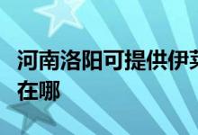河南洛陽可提供伊萊克斯面包機維修服務(wù)地址在哪