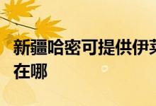 新疆哈密可提供伊萊克斯面包機維修服務(wù)地址在哪