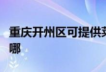重慶開州區(qū)可提供萊克加濕器維修服務(wù)地址在哪