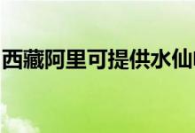 西藏阿里可提供水仙電風扇維修服務(wù)地址在哪