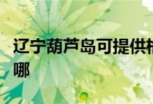 遼寧葫蘆島可提供格力電暖器維修服務地址在哪