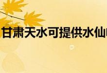 甘肅天水可提供水仙電風(fēng)扇維修服務(wù)地址在哪