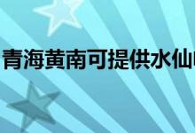 青海黃南可提供水仙電風(fēng)扇維修服務(wù)地址在哪