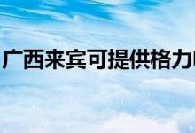 廣西來賓可提供格力電暖器維修服務地址在哪