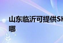 山東臨沂可提供SKG電風扇維修服務地址在哪