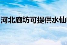 河北廊坊可提供水仙電風(fēng)扇維修服務(wù)地址在哪