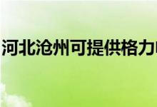 河北滄州可提供格力電暖器維修服務地址在哪