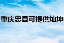 重慶忠縣可提供燦坤電風扇維修服務(wù)地址在哪