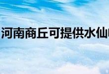 河南商丘可提供水仙電風(fēng)扇維修服務(wù)地址在哪