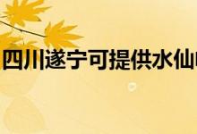 四川遂寧可提供水仙電風扇維修服務(wù)地址在哪