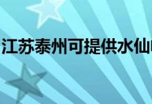 江蘇泰州可提供水仙電風(fēng)扇維修服務(wù)地址在哪