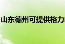 山東德州可提供格力電暖器維修服務地址在哪