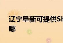 遼寧阜新可提供SKG電風扇維修服務地址在哪
