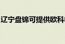 遼寧盤(pán)錦可提供歐科電風(fēng)扇維修服務(wù)地址在哪