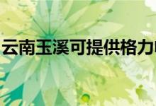 云南玉溪可提供格力電暖器維修服務地址在哪