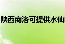 陜西商洛可提供水仙電風扇維修服務(wù)地址在哪