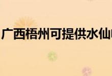 廣西梧州可提供水仙電風(fēng)扇維修服務(wù)地址在哪