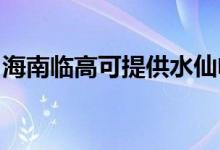 海南臨高可提供水仙電風(fēng)扇維修服務(wù)地址在哪