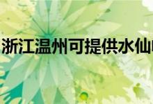浙江溫州可提供水仙電風扇維修服務(wù)地址在哪