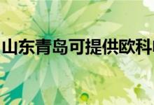 山東青島可提供歐科電風(fēng)扇維修服務(wù)地址在哪