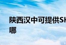 陜西漢中可提供SKG電風扇維修服務地址在哪