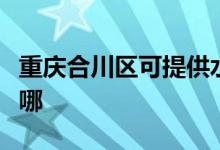 重慶合川區(qū)可提供水仙電風(fēng)扇維修服務(wù)地址在哪