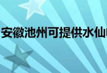 安徽池州可提供水仙電風(fēng)扇維修服務(wù)地址在哪