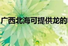 廣西北?？商峁埖碾婏L扇維修服務(wù)地址在哪