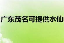 廣東茂名可提供水仙電風(fēng)扇維修服務(wù)地址在哪