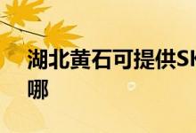 湖北黃石可提供SKG電風扇維修服務地址在哪
