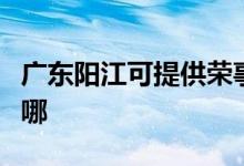 廣東陽(yáng)江可提供榮事達(dá)電暖器維修服務(wù)地址在哪