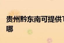 貴州黔東南可提供TCL電暖器維修服務(wù)地址在哪