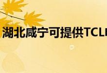 湖北咸寧可提供TCL電暖器維修服務地址在哪