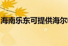 海南樂(lè)東可提供海爾電暖器維修服務(wù)地址在哪