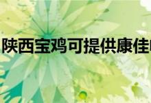 陜西寶雞可提供康佳電暖器維修服務(wù)地址在哪
