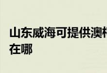 山東威?？商峁┌目卢旓嬎O(shè)備維修服務(wù)地址在哪