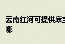 云南紅河可提供康寶飲水設(shè)備維修服務(wù)地址在哪