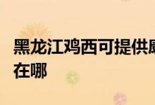 黑龍江雞西可提供康寶飲水設(shè)備維修服務(wù)地址在哪