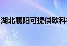 湖北襄陽可提供歐科榨汁機維修服務地址在哪