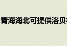 青海海北可提供洛貝榨汁機維修服務(wù)地址在哪