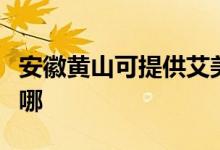 安徽黃山可提供艾美特榨汁機維修服務地址在哪