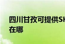 四川甘孜可提供SKG飲水設備維修服務地址在哪