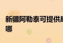 新疆阿勒泰可提供康佳榨汁機維修服務地址在哪