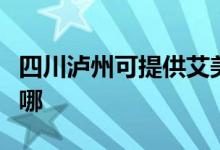 四川瀘州可提供艾美特榨汁機維修服務(wù)地址在哪