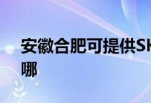 安徽合肥可提供SKG榨汁機維修服務地址在哪