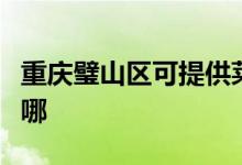 重慶璧山區(qū)可提供萊克榨汁機維修服務(wù)地址在哪