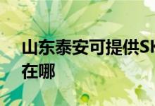 山東泰安可提供SKG飲水設備維修服務地址在哪
