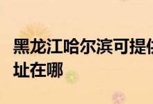 黑龍江哈爾濱可提供艾美特榨汁機維修服務(wù)地址在哪