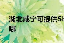 湖北咸寧可提供SKG榨汁機維修服務地址在哪