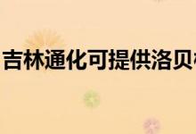 吉林通化可提供洛貝榨汁機維修服務(wù)地址在哪